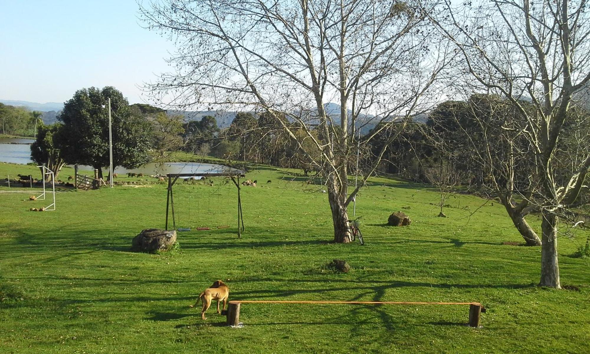 Recanto Dos Pioneiros Nova Petropolis Rum bild
