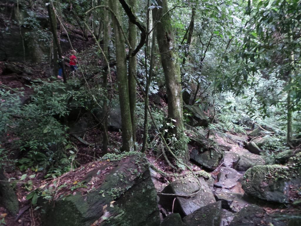 Recanto Dos Pioneiros Nova Petropolis Exteriör bild